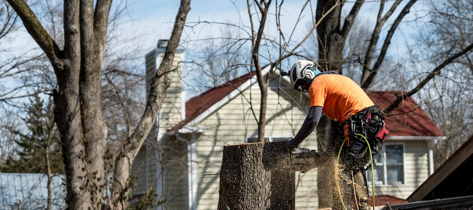 Tenessee Treepeople Hixson Tree Service | Paden Tree People